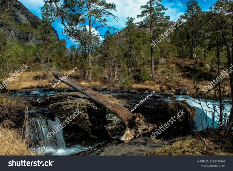 stock-photo-a-waterfall-in-the-forests-of-southern-norway-near-the-town-of-ulvik-the-photo-was-taken-in-2280079909[1]