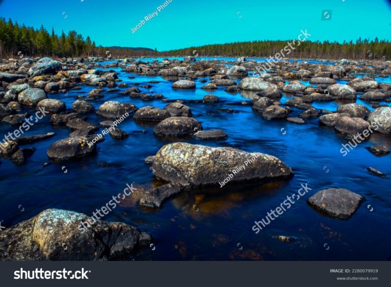 stock-photo-the-landscape-was-shot-in-northern-sweden-in-2280079919[1]