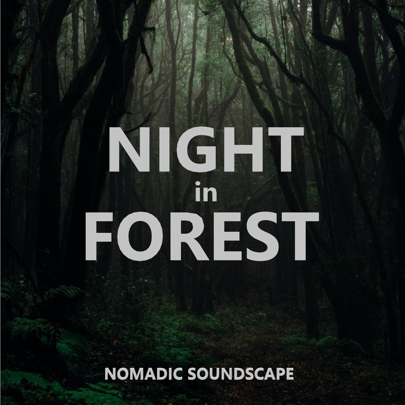 Night Forest Sounds & Ambience