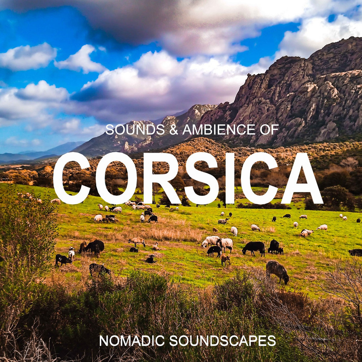 Immerse Yourself in the Sounds and Ambiences of Corsica