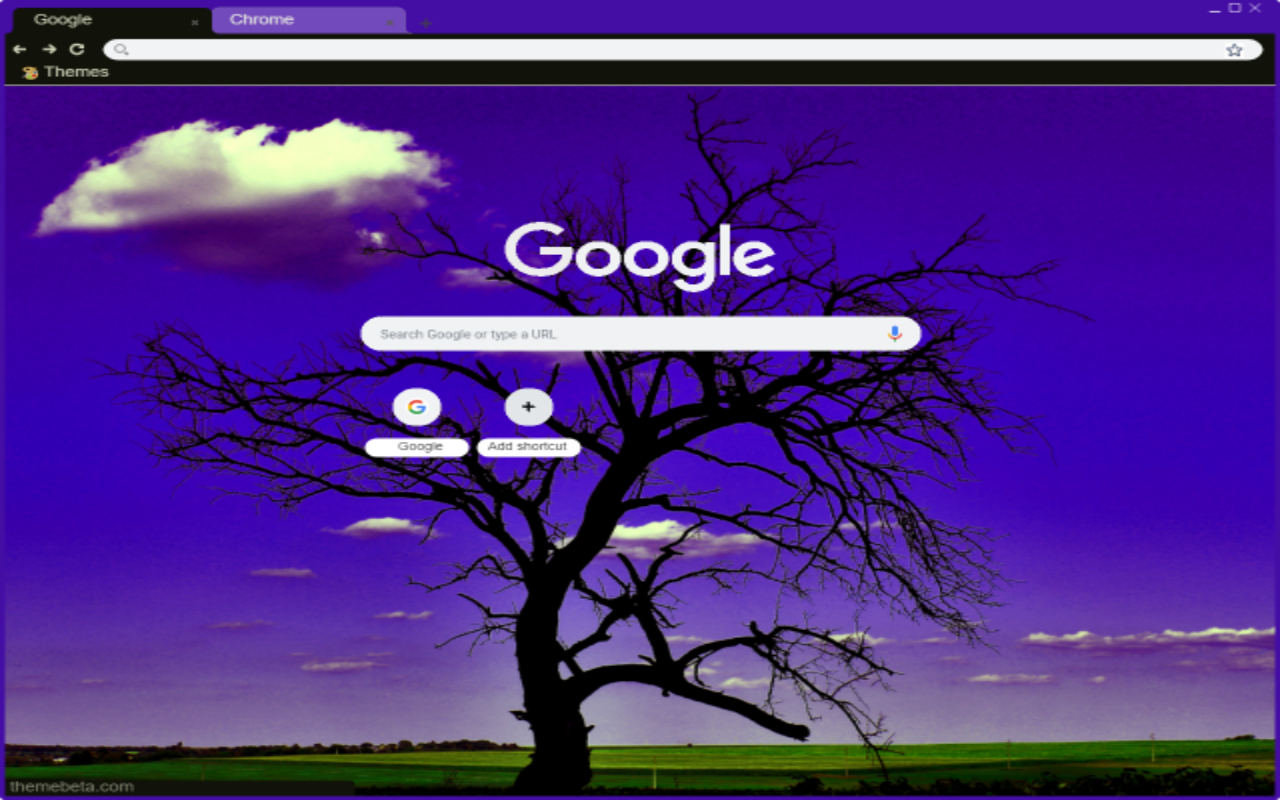 Discover the Serenity of the Lonely Tree Chrome Theme